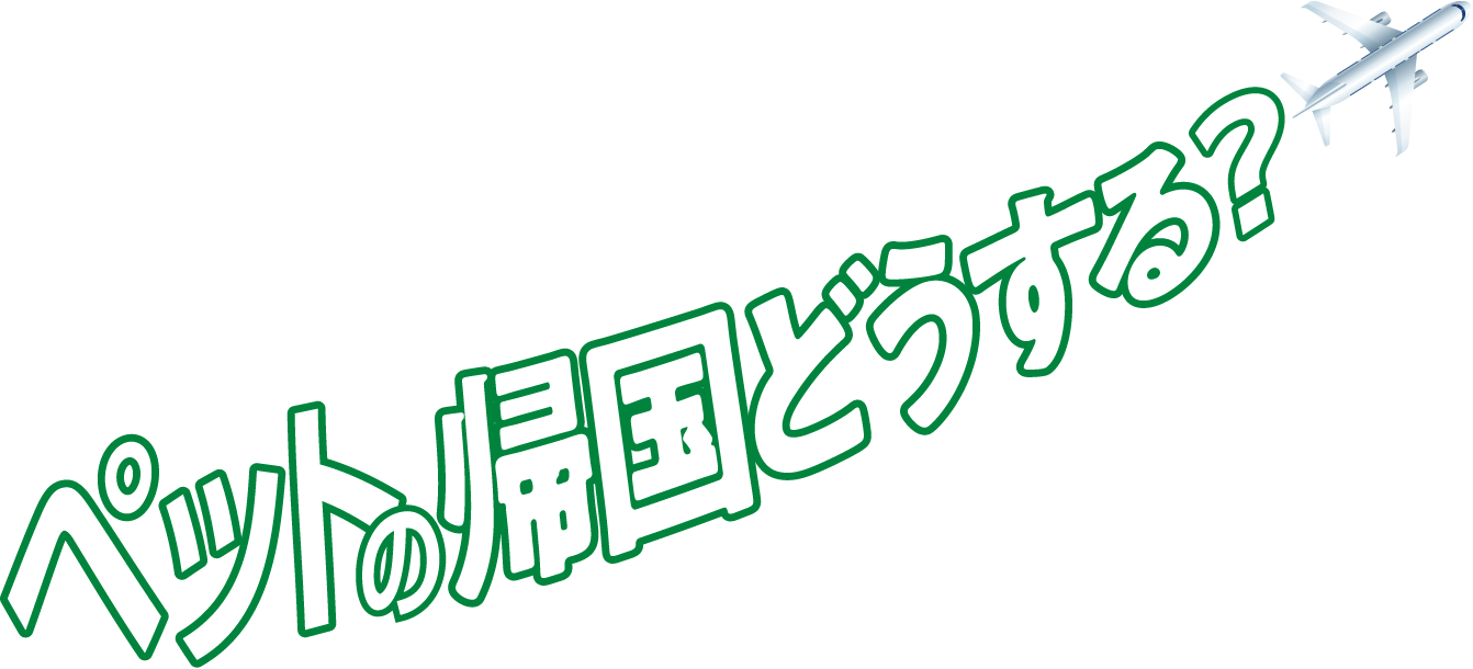 帰国編 オーストラリアから日本に向けてペットの帰国どうする？教えて エコノムーブジャパン！